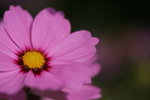 IMG_6308