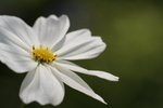 IMG_6505