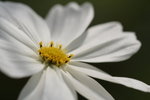 IMG_6506