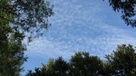 IMG_2587