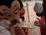 Picture 019