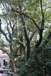 IMG_6074