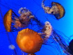 DSC00103