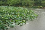 IMG_5796