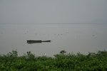 IMG_5884