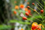 IMG_5895