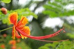 IMG_5901