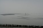 IMG_5910