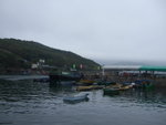 DSCF0122