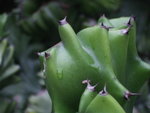 DSCF0130