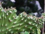 DSCF0133