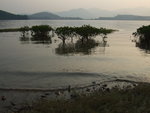 DSCF2106