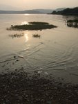 DSCF2118