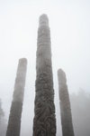 IMG_4401