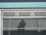 DSCF0589