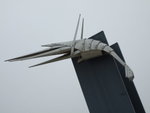 DSCF0601