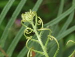 DSCF0618