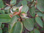 DSCF0622