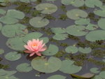 DSCF0631