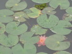 DSCF0635