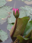 DSCF0643
