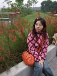 DSCF0653