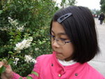 DSCF0655