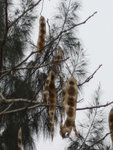 DSCF0658