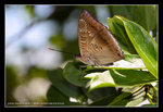 IMG_8548