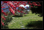 IMG_0071