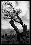 IMG_0130