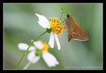 IMG_5870