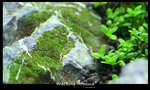 IMG_0158