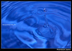 IMG_1769