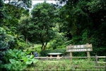DSC05564