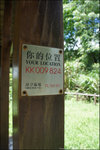 DSC05580