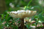 DSC05598