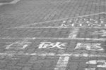 DSC_2000_bw