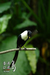 IMG_5401