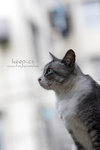 _MG_9032