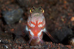 IMG_8276 copy