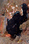 IMG_8280 copy