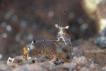 IMG_8701 copy