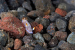 IMG_8709 copy