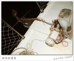 050903 195512FE