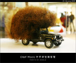 060224_haircar_017