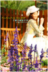 060302_flowershowp_000