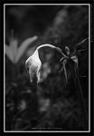 060311_bw002