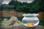 060416_kiu_000