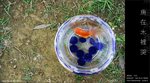 060416_kiu_001